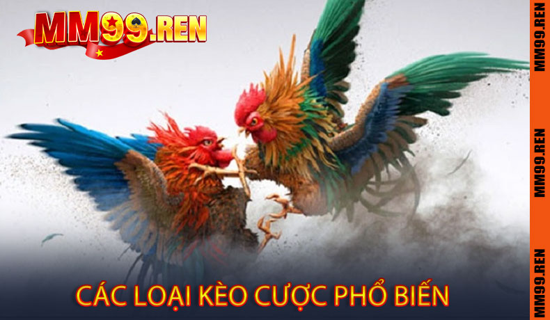 Các Loại Kèo Cược Phổ Biến